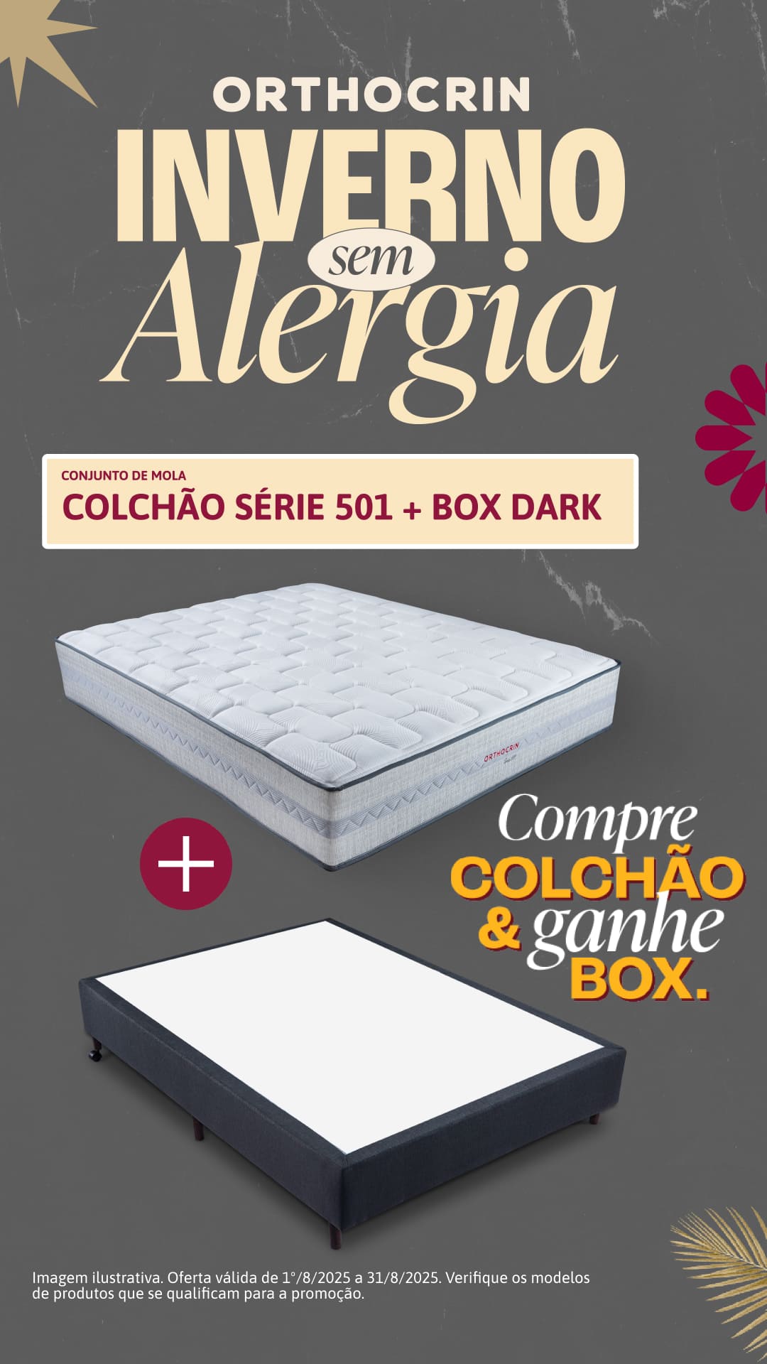 501 + Box Dark